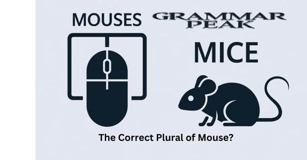 Mouses vs Mice What’s the Correct Plural of Mouse