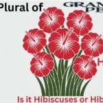 What’s the Plural of Hibiscus Is it Hibiscuses or Hibisci